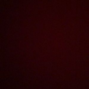 Meet your Posher, Ava